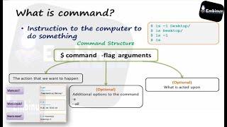 4- Navigation commands (LS PWD CD) [عربي]