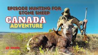 Canada Adventure Part 3 Episode Hunting for Stone Sheep