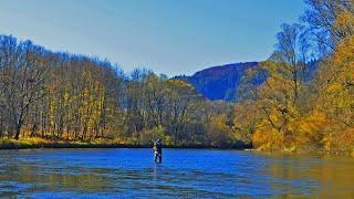 Fly Fishing Paradise - Big Grayling in Slovakia