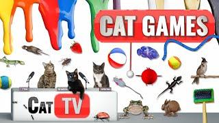 CAT Games | Ultimate Cat TV Compilation Vol 46 | 2 HOURS 