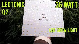 36 WATT Q2 LED GROW LIGHT, UNBOXING, SETUP, REVIEW