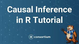useR! 2020: Causal inference in R (Lucy D'Agostino McGowan, Malcom Barrett), tutorial