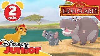 Magical Moments | The Lion Guard: Beshte and Mtoto | Disney Junior UK