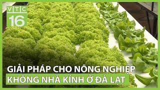 Giải pháp cho nông nghiệp không nhà kính ở Đà Lạt | VTC16