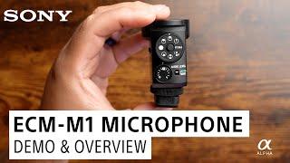 Sony ECM-M1 Digital Shotgun Microphone Demo with Miguel Quiles