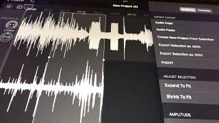 Hokusai 2 Pro Audio Editor, AudioShare & Cubasis 3 - How I Edit Audio Samples - iPad Tutorial