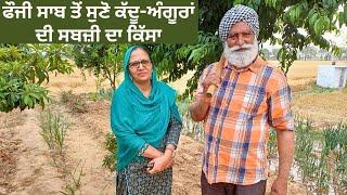 ਲਾਲ ਭਿੰਡੀ | ਗਰਮੀਆਂ ਦੀਆਂ ਸਬਜ਼ੀਆਂ ਦੀ ਤਿਆਰੀ | Backyard Graden Tour