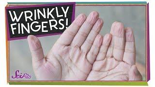 Why Do I Get Wrinkly Fingers in the Bath?