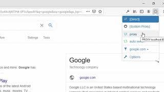 Proxy enable/disable Firefox/Chrome addon  localhost/URL