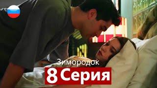 Зимородок 8 Cерия (Русский дубляж)