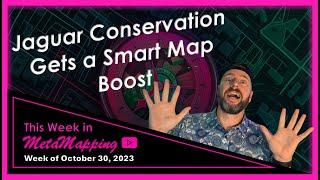 Jaguar Conservation Gets a Smart Map Boost | MetaMapping