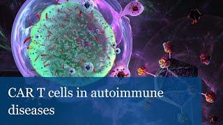 CAR T cells in autoimmune diseases (Georg Schett | Andreas Mackensen)