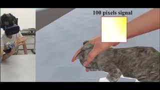 【Super-resolution wearable electrotactile rendering system】Cat demo