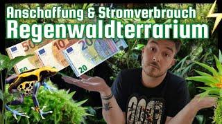 Was kostet ein Regenwaldterrarium für Pfeilgiftfrösche ( Anschaffung & Stromverbrauch )