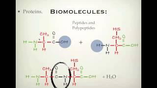 VCE Chemistry UNIT 4: Proteins p1 - Zwitterions and peptides