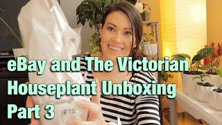 eBay and The Victorian Houseplant Unboxing & Plant Haul - Part 3 - Bittersweet Plant Unboxing