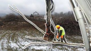 Farmers POV - Clearing Land With An Excavator | Takeuchi TB290-2