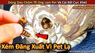 Nghệ Thuật Nuôi Ong Bắp Cày Làm Pet Và Cái Kết Xém Đăng Xuất Vì Pet Độc || Review Giải Trí Đời Sống