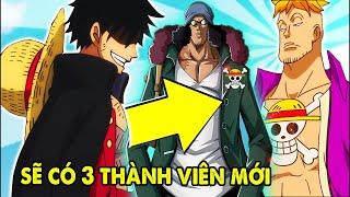3 Thành Viên Mới, Băng Mũ Rơm Có Tới 13 Thành Viên | Giả thuyết One Piece