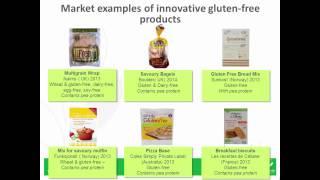 Bridge2Food Webinar Gluten-Free innovations - Solutions with pea proteins