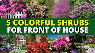 Top 5 Colorful Shrubs for Front of House  - Garden Trends