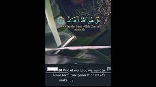 Pashton official search #islamicvideo #telawat_quran786 #vir#youtub