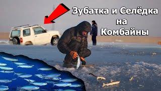 Рыбалка зимой на эти странные снасти! Ловля рыбы на комбайны в речном фарватере