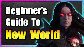 Beginner's Guide To New World