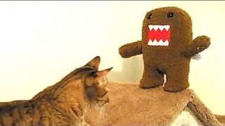 Mean Kitty VS Domo-Kun 8.27.09