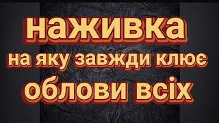 Опариш на який реально клює риба. Найкраща приманка. Як виростити в домашніх умовах