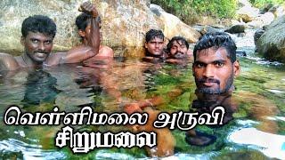 அடர்ததியான ஒரு காடு||Sirumalai|| vellimalai falls| vellimalayandiTemple|kannimar oothu #Thisaikaruvi