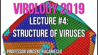 Virology Lectures 2019 #4: Structure of Viruses