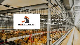 POUL TECH™ Automatic Battery Chicken Pullet Cage Project