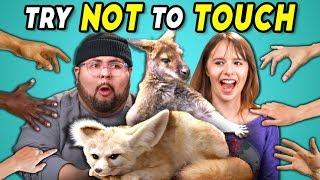 Try Not to Touch Challenge #3 | Wild Animals (React)