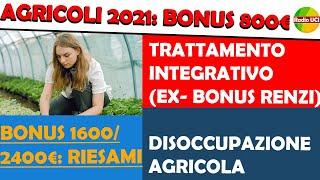 AGRICOLI 2021: DISOCCUPAZIONE, BONUS 800€, INTEGRATIVO (EX-BONUS RENZI) BONUS 2400/1600 EURO RIESAMI