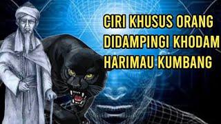 Ciri khusus orang didampingi khodam sakti harimau kumbang