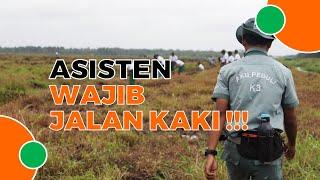 Asisten Jalan Kaki, Yakin ?