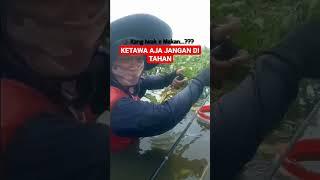 IKAN NYA BIKIN NGAKAK  #shorts #mancingnyobok #fishing #wadukcengklik #lucu