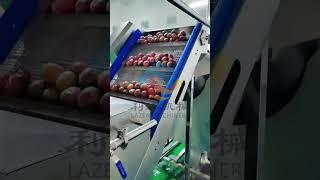 Passion fruit juice pulp puree making machine production line