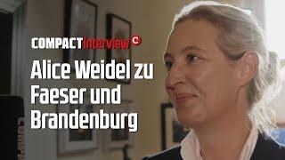 Exklusiv! Weidel zu Faeser und Brandenburg