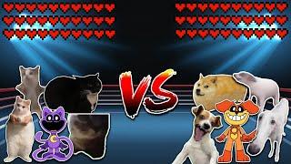 All Cats vs All Dogs! Meme battle