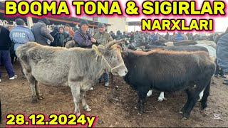 SIGIRLAR VA BOQMA TONALAR NARXLARI 28.12.2024y