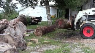 Large Southern Yellow Pine on my Woodland Mills HM130Max and a Harbor Freight Upgrade