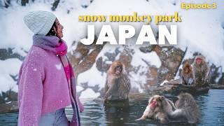 2 weeks in Japan winter road trip | Jigokudani Snow Monkey Park, Nozawa Onsen Fire Festival (Ep 3)