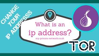 Change IP address every seconds using tor | android