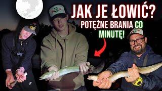 WĘGORZE NIE DAWAŁY NAM ZJEŚĆ! | PIERWSZE WĘGORZE W ŻYCIU WSPÓLNIE Z@Great_Fish_  #vlog47