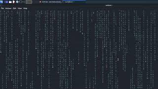 Kali Linux terminal into Matrix effect