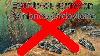 Evento de extinción del Cámbrico-Ordovícico