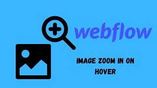 Stunning Webflow image Zoom in on hover tutorial! (2022)