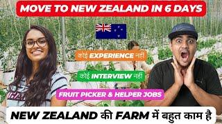  New Zealand FREE Visa In 6 Days | Fruit Picker & Helper Jobs | New Zealand Work Permit 2024 